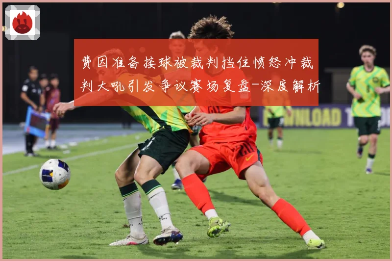 费因准备接球被裁判挡住愤怒冲裁判大吼引发争议赛场复盘-深度解析